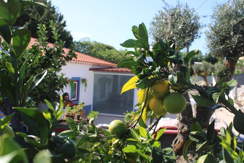 Casa Manuel E Maria Villa Fátima Dış mekan fotoğraf